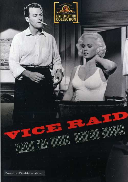 Vice Raid - DVD movie cover