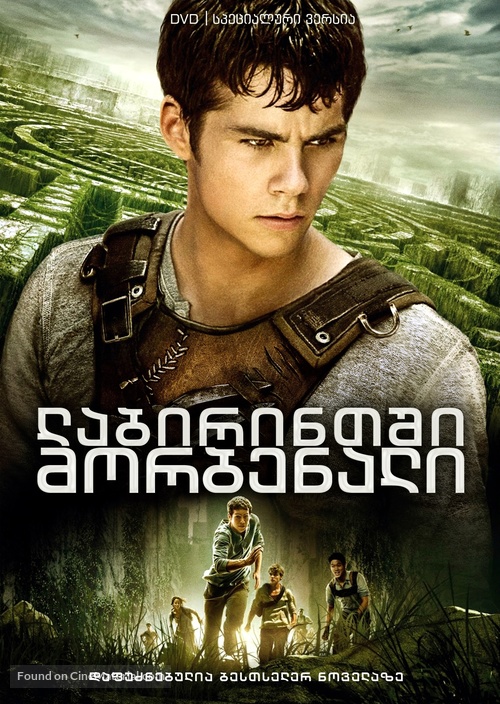 The Maze Runner - Georgian Movie Cover
