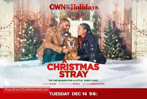 A Christmas Stray - Movie Poster