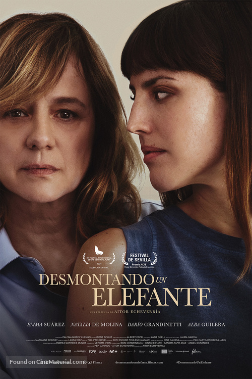 Desmontando un elefante - Spanish Movie Poster