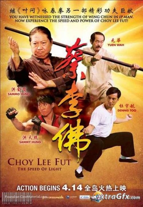 Fight the Fight - Chinese Movie Poster