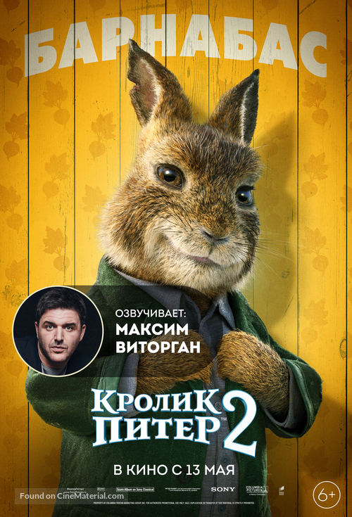 Peter Rabbit 2: The Runaway - Russian Movie Poster