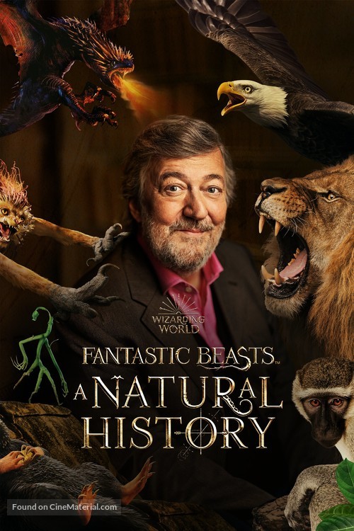 Fantastic Beasts: A Natural History - British Video on demand movie cover