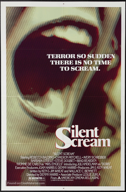 The Silent Scream - Movie Poster