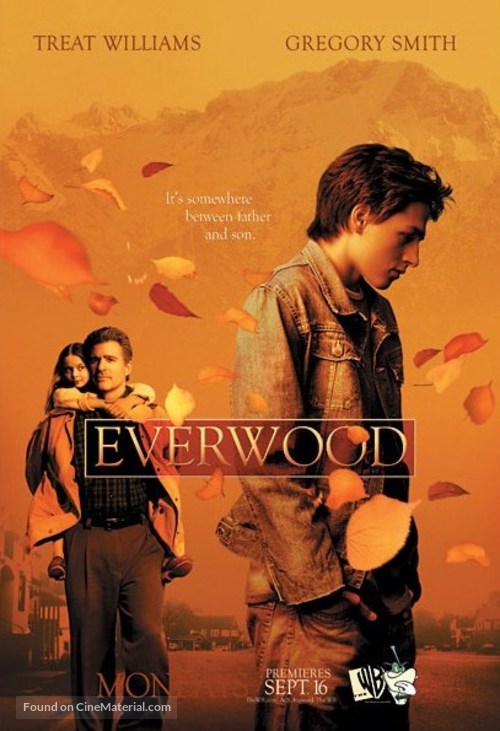 &quot;Everwood&quot; - Movie Poster