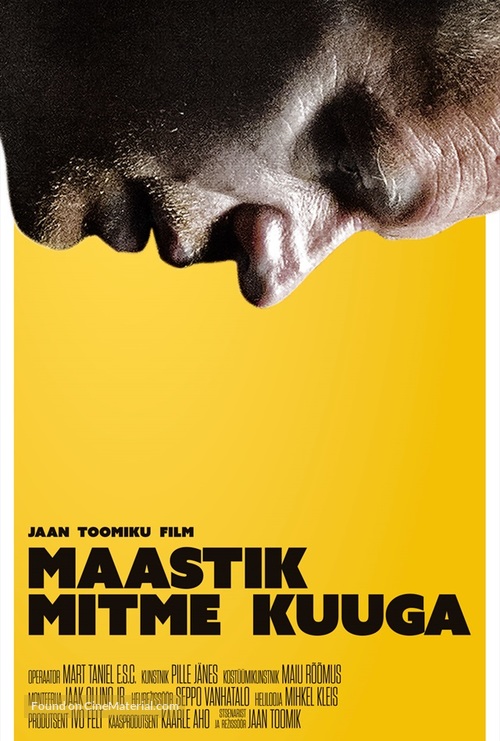 Maastik mitme kuuga - Estonian Movie Poster
