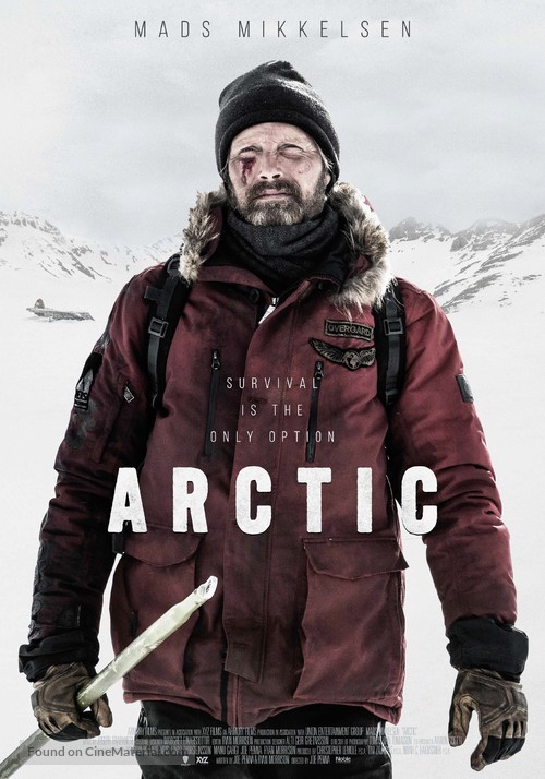 Arctic - Swedish Movie Poster