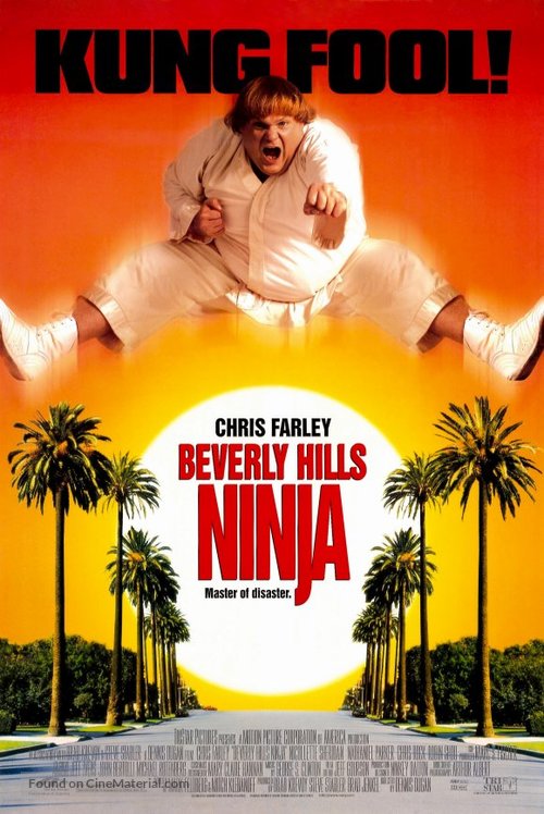 Beverly Hills Ninja - Movie Poster