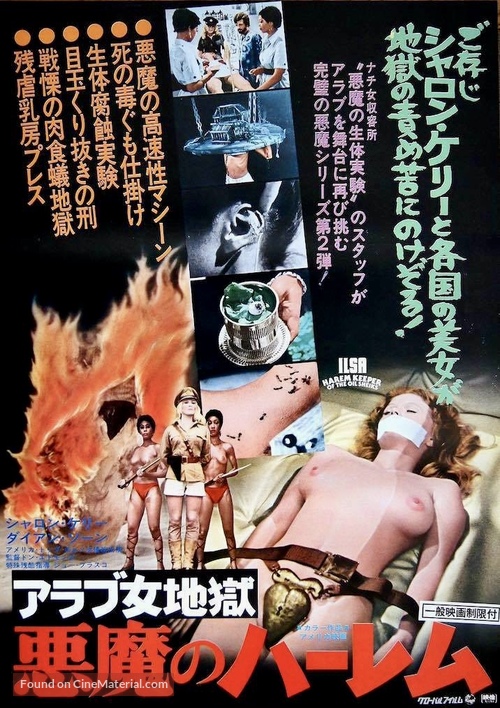 Ilsa, Harem Keeper of the Oil Sheiks - Japanese Movie Poster