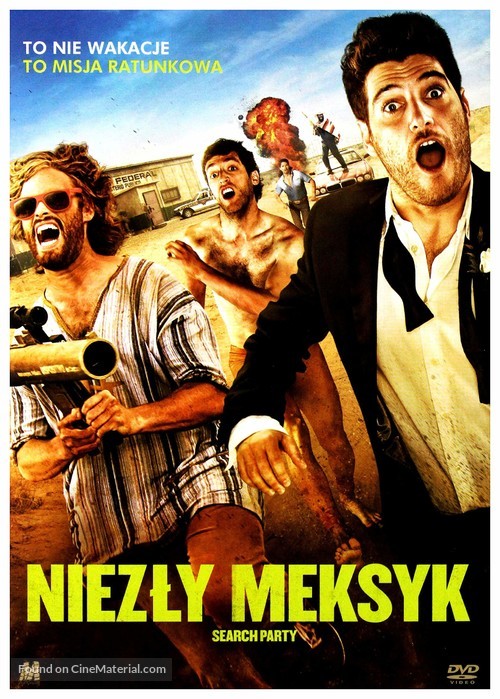 Search Party - Polish DVD movie cover