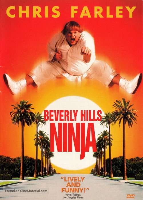 Beverly Hills Ninja - DVD movie cover