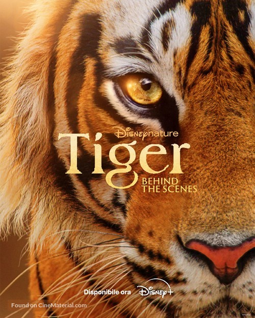 Tigers on the Rise - Italian Movie Poster
