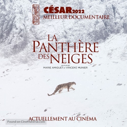 La panth&egrave;re des neiges - French poster