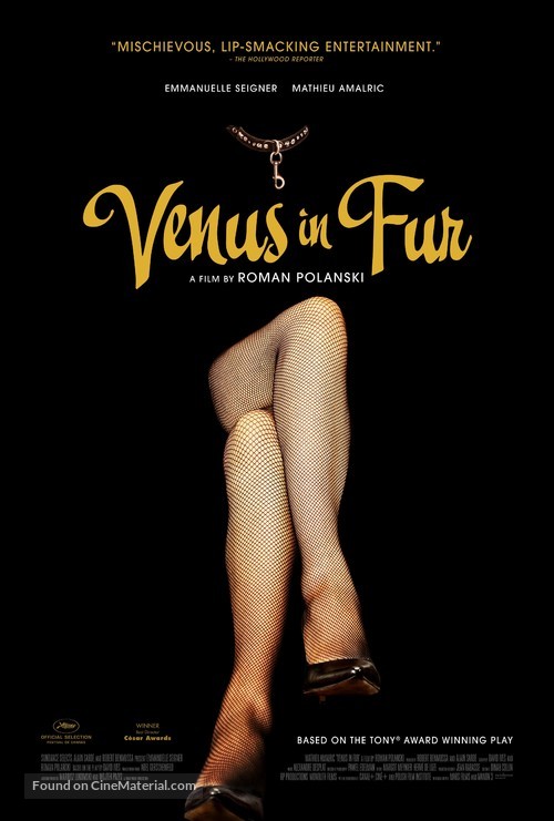La V&eacute;nus &agrave; la fourrure - Movie Poster