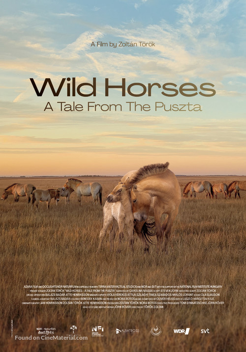 Wild Horses: A Tale from the Puszta - International Movie Poster