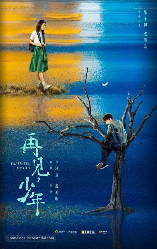 Zai Jian Shao Nian - Chinese Movie Poster