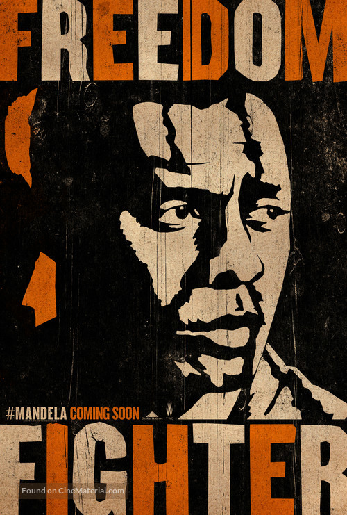 Mandela: Long Walk to Freedom - Movie Poster