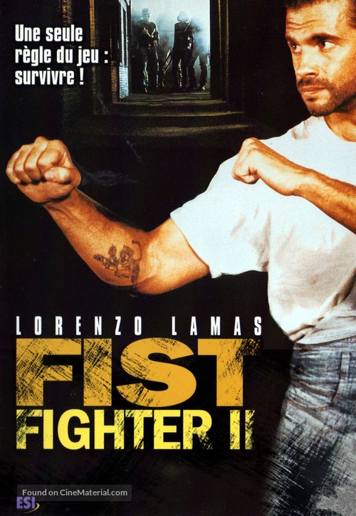 Fist Fighter 2 - French DVD movie cover