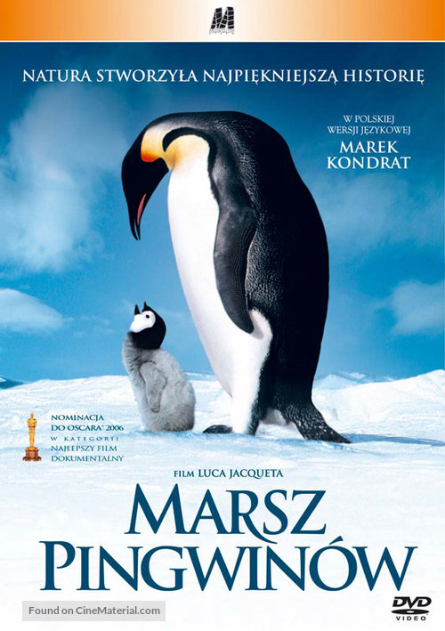 March Of The Penguins - Polish poster