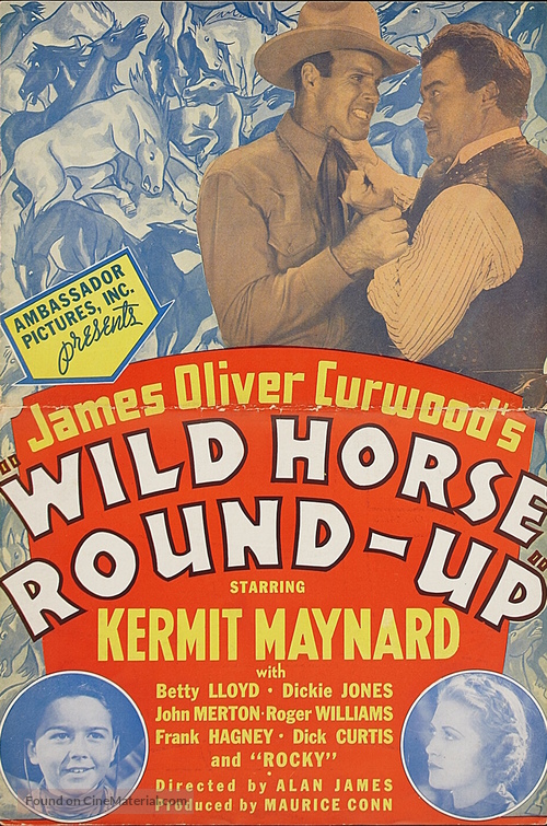 Wild Horse Roundup - poster