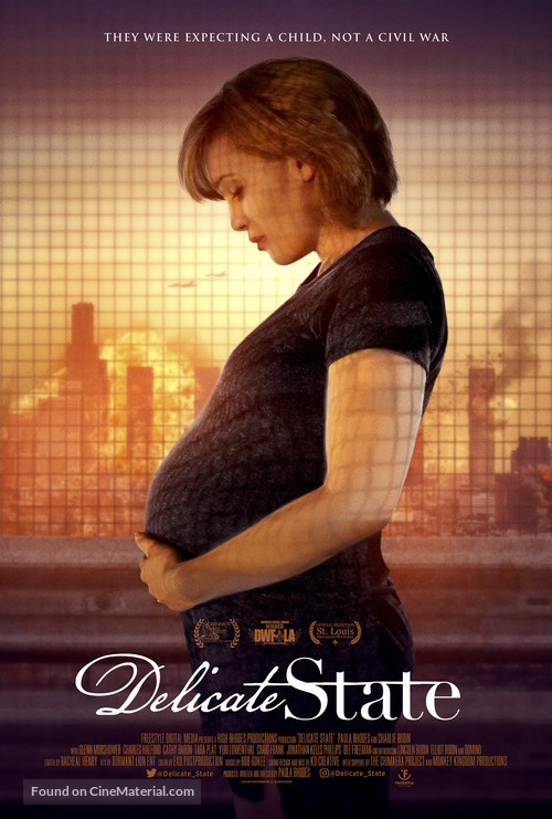 Delicate State - Movie Poster