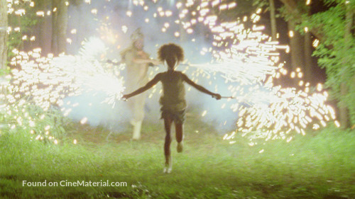 Beasts of the Southern Wild - Key art