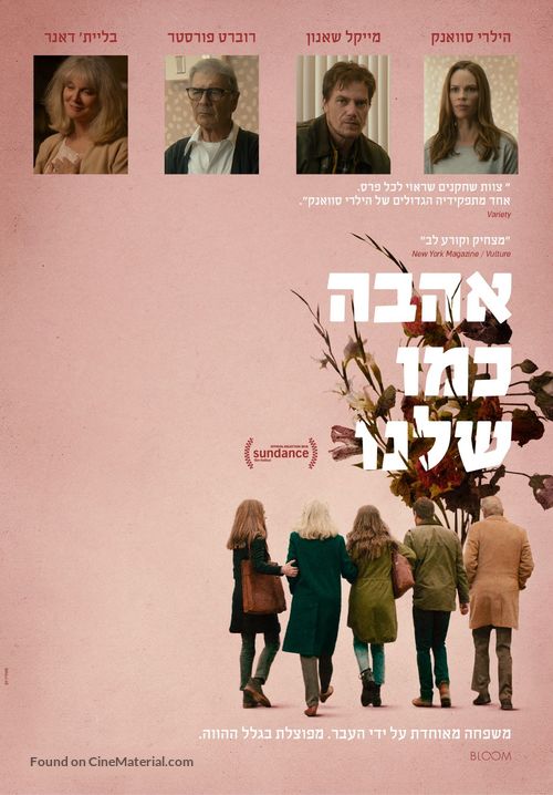 What They Had - Israeli Movie Poster