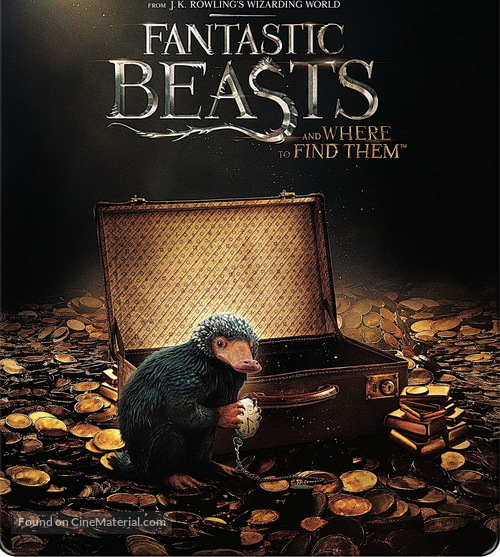 Fantastic Beasts and Where to Find Them - Movie Cover