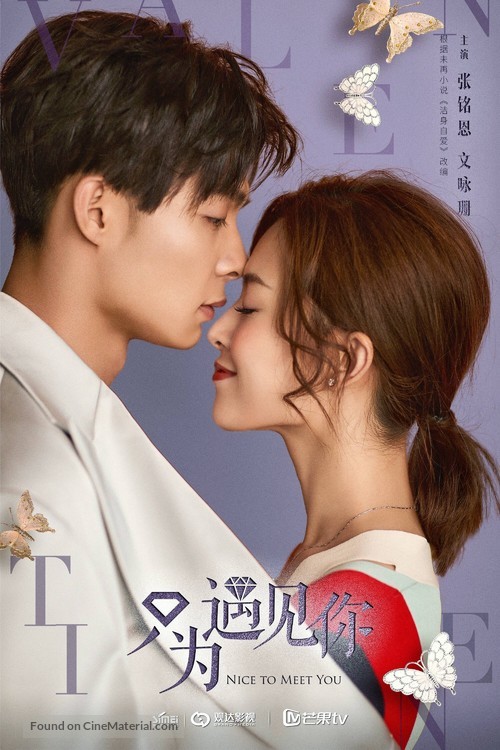 &quot;Nice to Meet You&quot; - Chinese Movie Poster