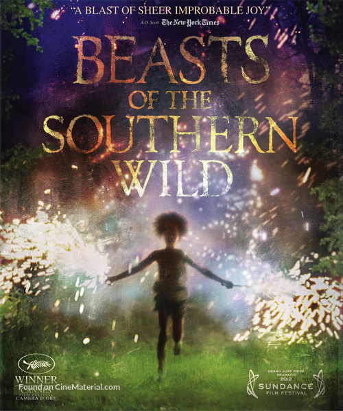 Beasts of the Southern Wild - Movie Cover