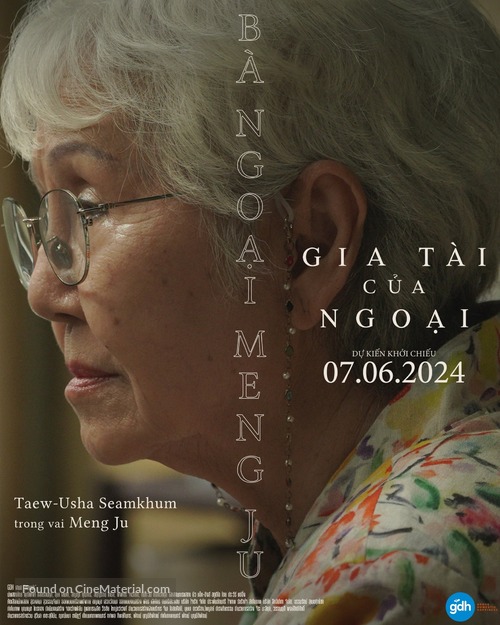 How to Make Millions Before Grandma Dies - Vietnamese Movie Poster