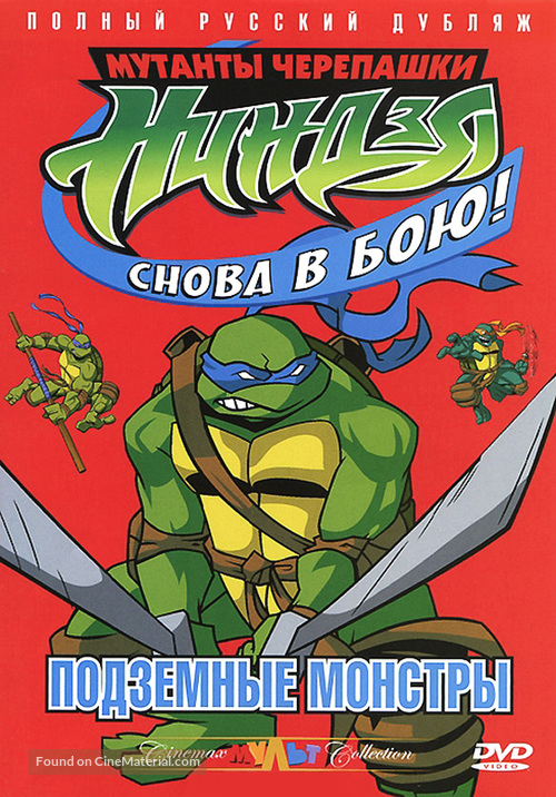 &quot;Teenage Mutant Ninja Turtles&quot; - Russian DVD movie cover