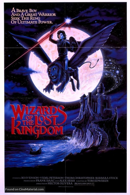 Wizards of the Lost Kingdom - Movie Poster