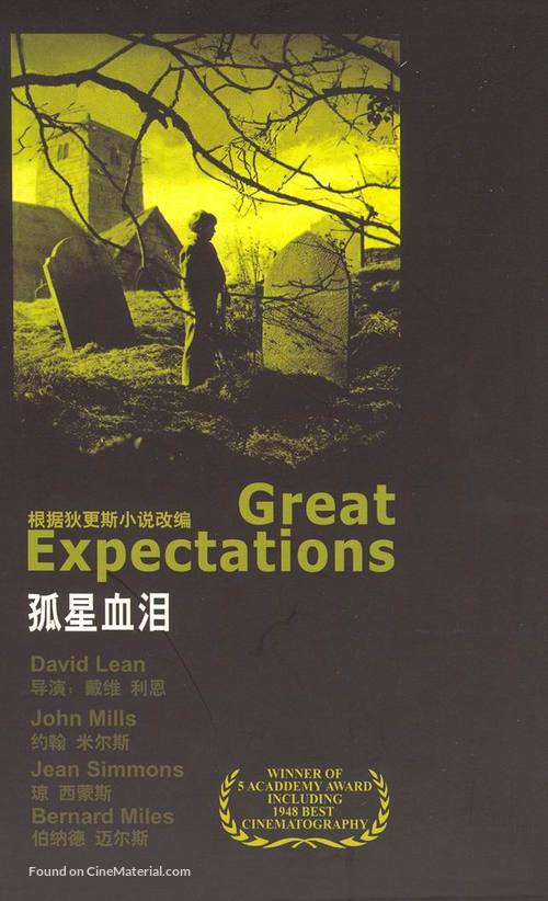 Great Expectations - Chinese Movie Cover