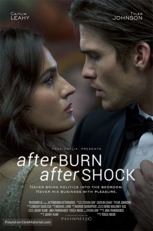 Afterburn/Aftershock - Movie Poster