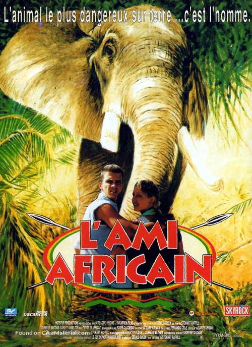 Lost in Africa - French Movie Poster