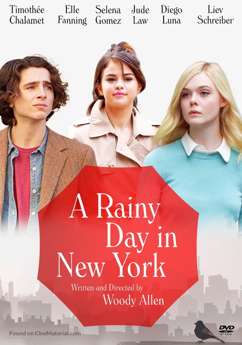 A Rainy Day in New York - DVD movie cover