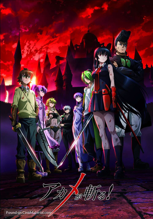 &quot;Akame ga Kill!&quot; - Japanese Movie Cover