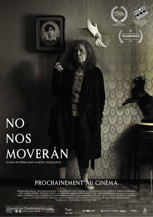 No nos mover&aacute;n - French Movie Poster