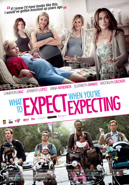 What to Expect When You're Expecting - Dutch Movie Poster