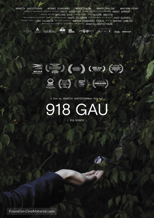 918 Nights - International Movie Poster