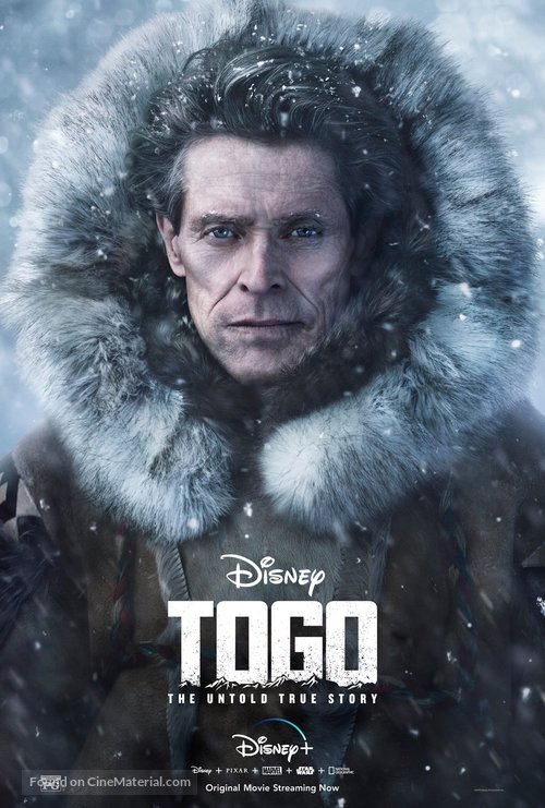 Togo - Movie Poster