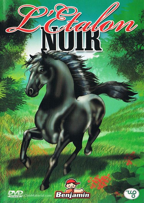 The Black Stallion - French DVD movie cover