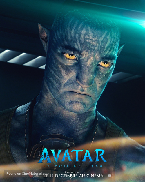 Avatar: The Way of Water - French Movie Poster