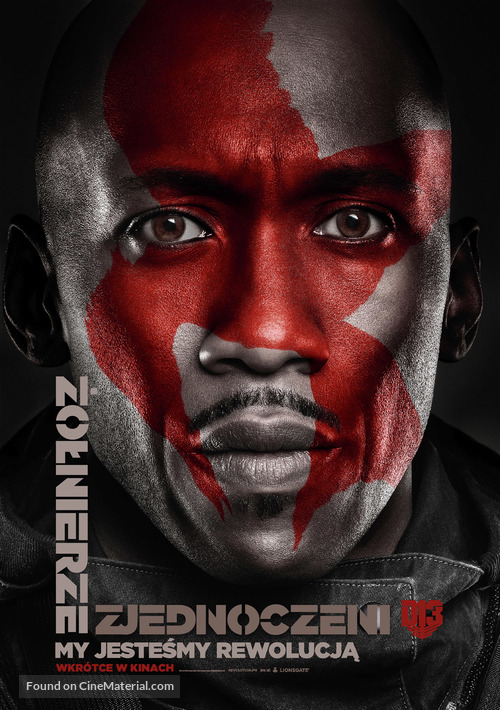 The Hunger Games: Mockingjay - Part 2 - Polish Movie Poster
