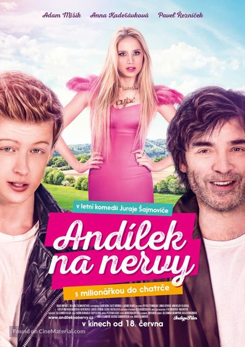 And&iacute;lek na nervy - Czech Movie Poster