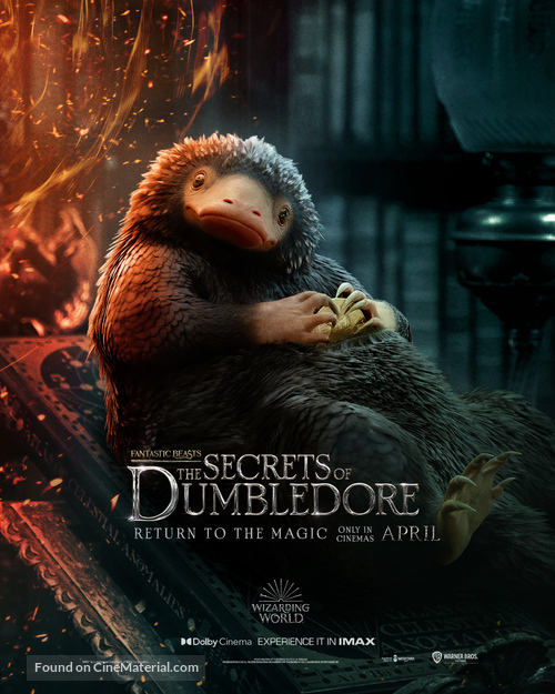 Fantastic Beasts: The Secrets of Dumbledore - International Movie Poster
