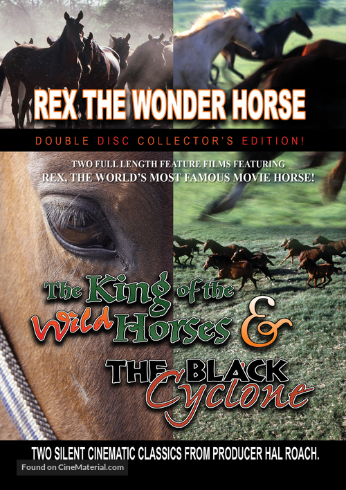 The King of the Wild Horses - DVD movie cover
