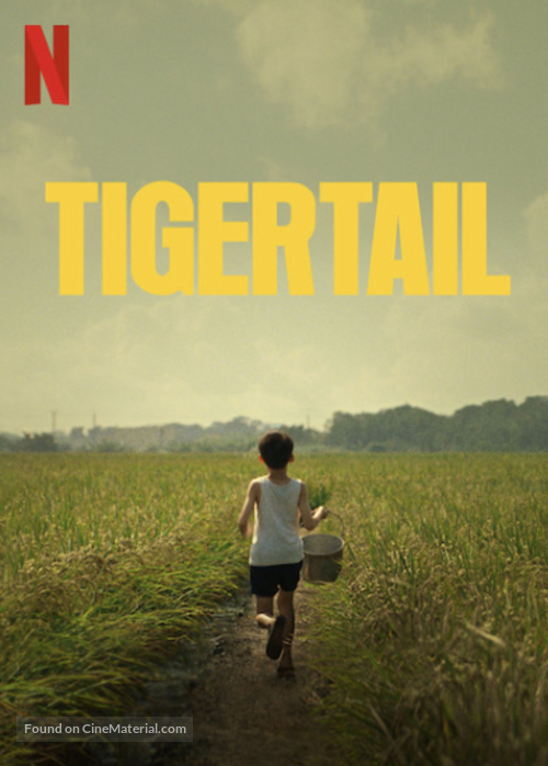 Tigertail - Video on demand movie cover