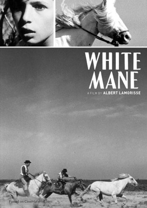 Crin blanc: Le cheval sauvage - DVD movie cover
